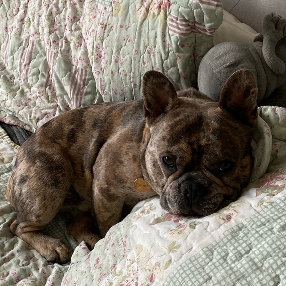 Meet your Posher, Leah - Picture 1 of 1